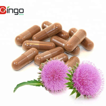 OEM Service Silymarin Capsules 40% Silymarin powder capsules